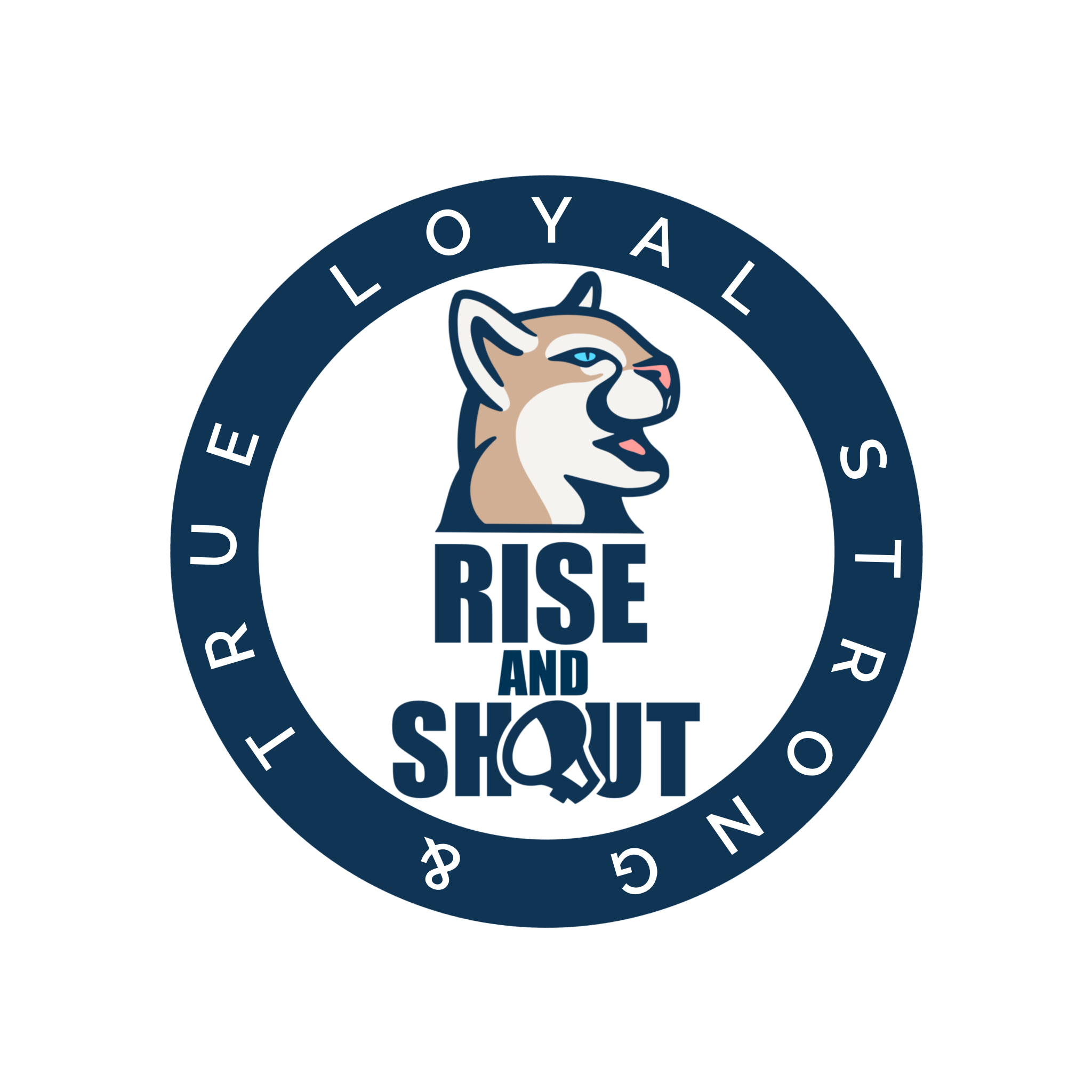 Historical BYU football photograph